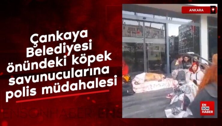 Çankaya Belediyesi önündeki köpek savunucularına polis müdahalesi