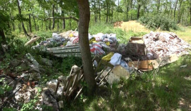 CHP idaresindeki Şile’de ormanlar çöplüğe döndü