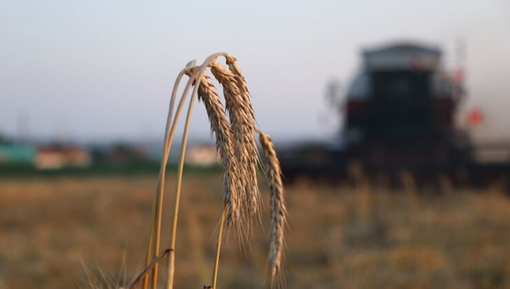 Çiftçilere 5,1 milyar lira dayanak ödemesi bugün yapılıyor