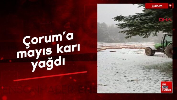 Çorum’a mayıs karı yağdı