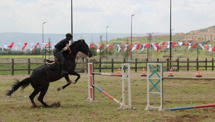 Çorum’da atlar güzellikleriyle yarıştı: Heyecan dolu anlar yaşandı