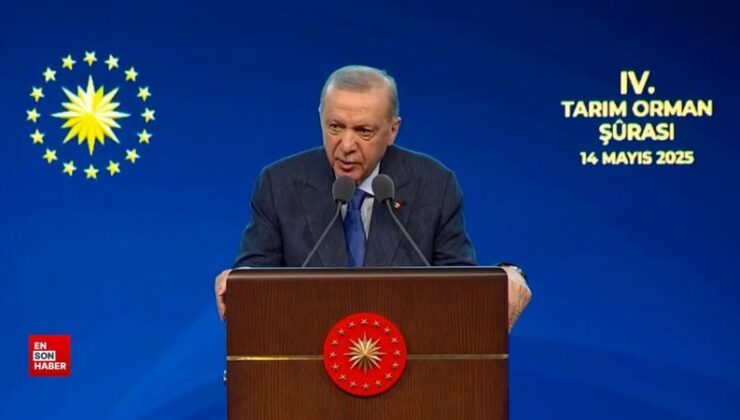 Cumhurbaşkanı Erdoğan: Ziraî hasılamızı 3 kat artırdık