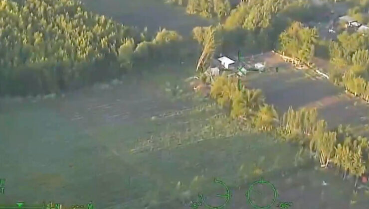 Diyarbakır’da 5,3 ton esrar üretilebilecek 30 bin kök kenevir ele geçirildi