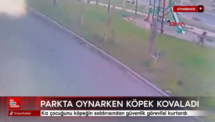 Diyarbakır’da kız çocuğunu köpeğin saldırısından güvenlik vazifelisi kurtardı