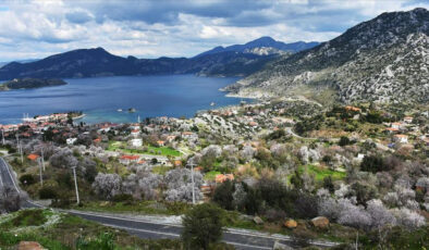 DMM, ‘Marmaris’te mesire alanı için yüzlerce çam kesildiği’ argümanını yalanladı