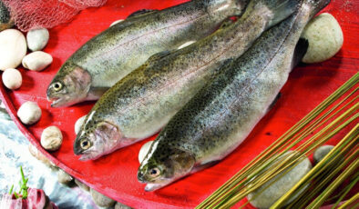 Doğu Karadeniz’in 4 aylık Türk somonu ihracatı 35,8 milyon doları aştı