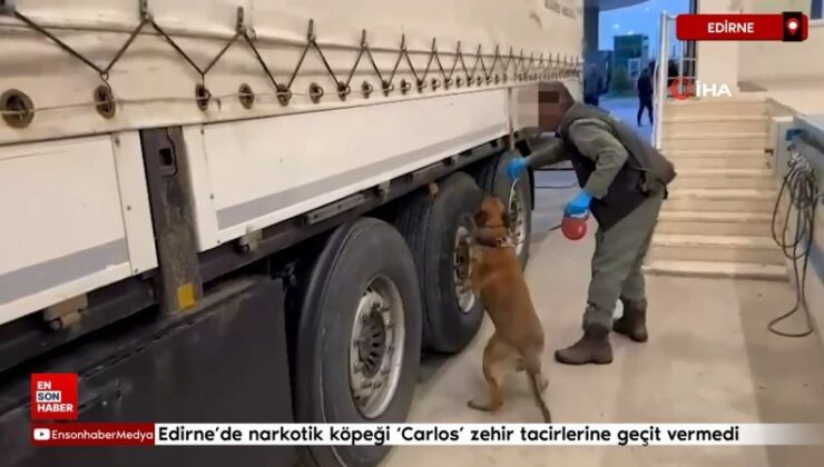 Edirne’de narkotik köpeği ‘Carlos’ zehir tacirlerine geçit vermedi