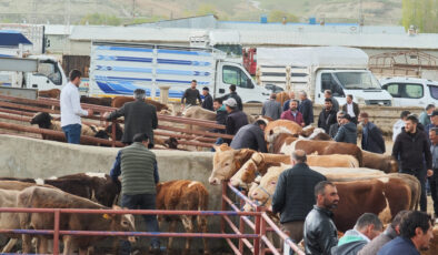 Erzurum’da kurbanlıklar görücüye çıktı