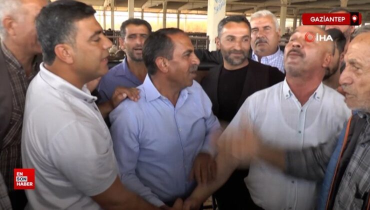 Gaziantep’te Kurban Bayramı öncesi hayvan pazarları hareketlendi