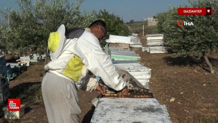 Gaziantep’te tabiplerin bal tavsiyesi hayatını değiştirdi