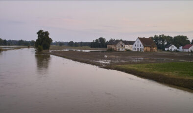 Global ısınmanın AB tarımına tesiri: 28,3 milyar euroluk kayıp