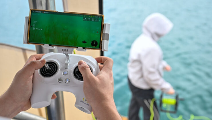 İstanbul Boğazı’ndaki deniz çayırlarının üzerindeki müsilaj arttı