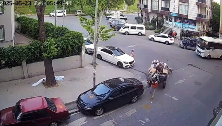 İstanbul’da at arabası ile arabaya çarpıp kaçtı