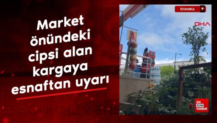 İstanbul’da Market önündeki cipsi alan kargaya esnaftan ikaz: Çok acılı yakar