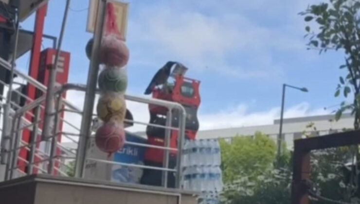 İstanbul’da marketten cips çalan kargaya esnaftan ikaz: Çok acılı alma yakar