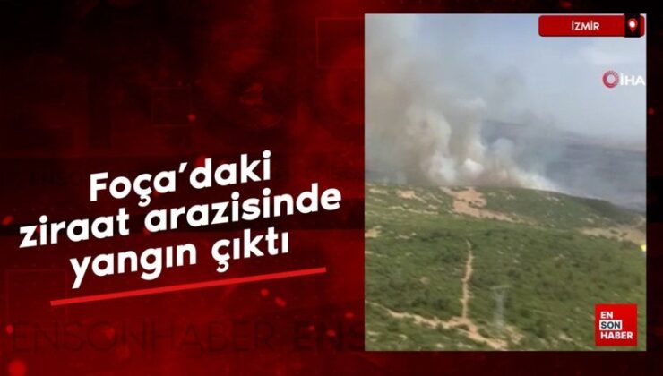 İzmir Foça’daki ziraat yerinde yangın çıktı