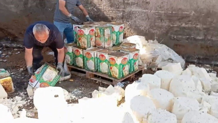 İzmir’de 7 ton bozuk peynir ele geçirildi