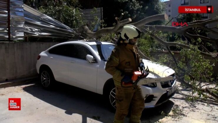 Kadıköy’de inşaat alanındaki ağaç arabanın üstüne devrildi