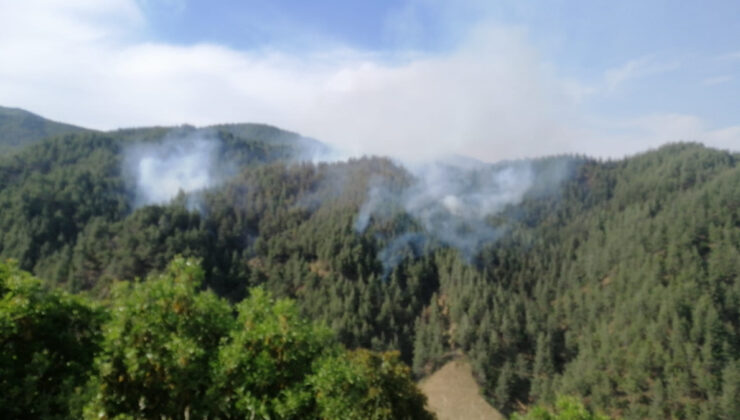 Kahramanmaraş’ta çıkan orman yangınına müdahale devam ediyor