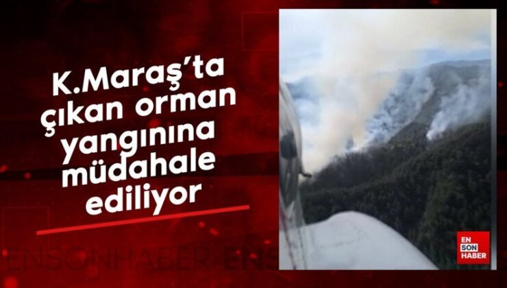 Kahramanmaraş’ta çıkan orman yangınına müdahale ediliyor