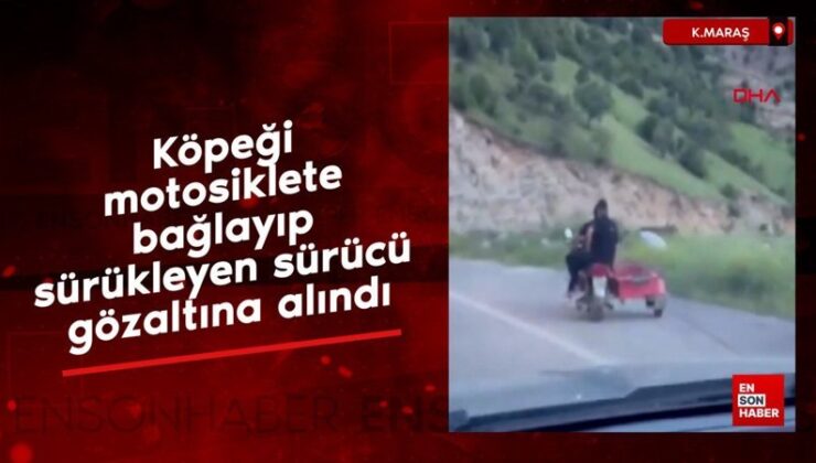 Kahramanmaraş’ta köpeği motosikletle sürükleyen şoför gözaltına alındı