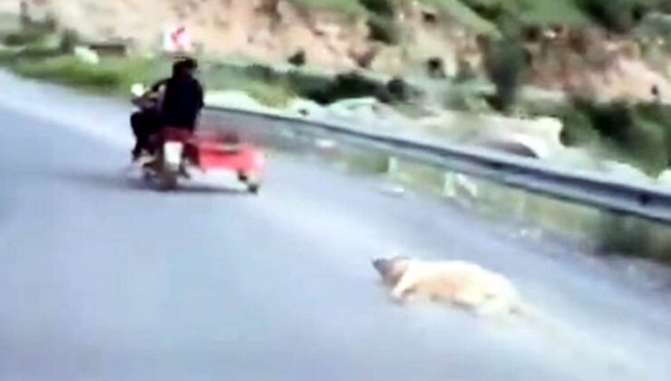 Kahramanmaraş’ta köpeği motosikletle sürükleyen şoför gözaltına alındı