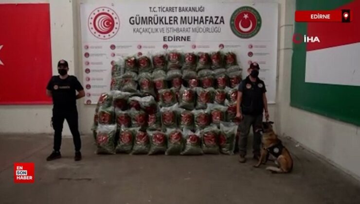 Kapıkule’de 661 kilo esrar, Ambarlı’da 115 bin paket sigara yakalandı