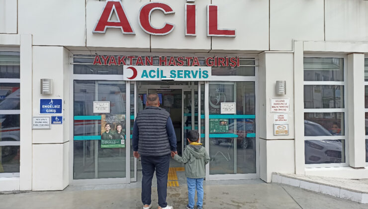 Kastamonu’da 5 yaşındaki çocuğa başıboş köpekler saldırdı