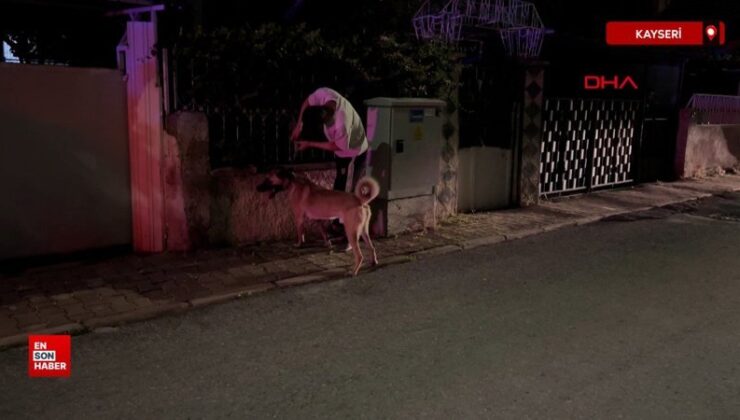 Kayseri’de sahipli köpek çocuğa saldırdı
