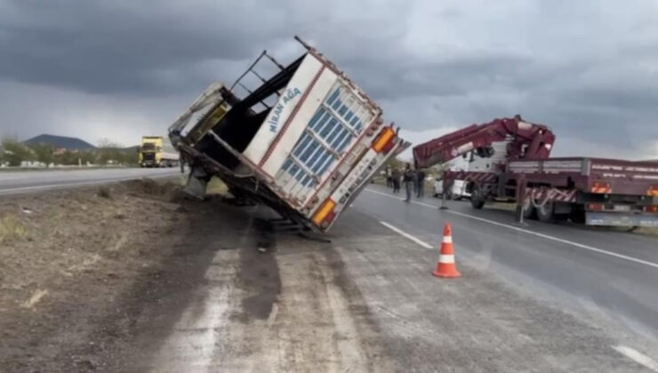 Konya’da devrilen tırdaki 29 angus kayboldu