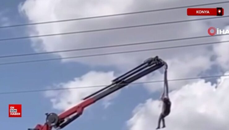 Konya’da taşınabilir vinç bu sefer insan taşıdı