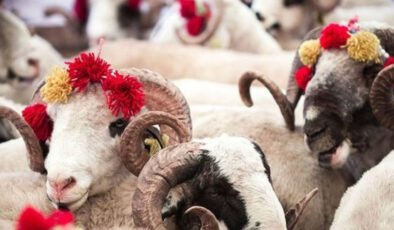 Kurban kesmek kimlere vaciptir? Diyanet cevapladı…