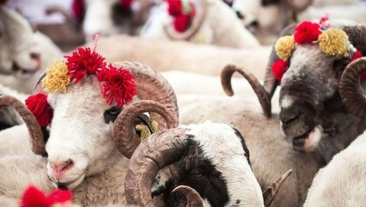 Kurban kesmek kimlere vaciptir? Diyanet cevapladı…