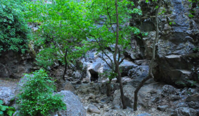 Manisa’da ‘saklı kanyon’ kurudu