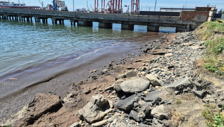 Marmara Denizi kıyılarında kızıl yosun birikintisi oluştu