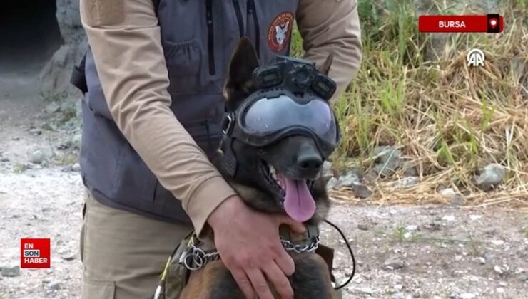 Mehmetçiğin ‘keskin burunları’ Gemlik’te eğitiliyor