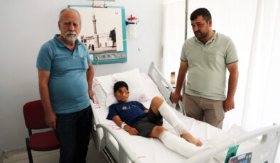 Muğla’da çocukları köpek saldırısına uğrayan aileden reaksiyon: Toplansınlar