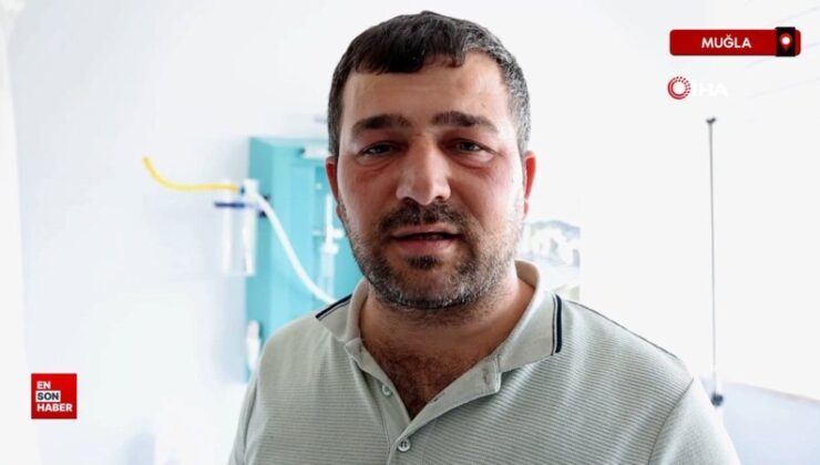 Muğla’da köpek saldırısına uğrayan çocuğun ailesi konuştu