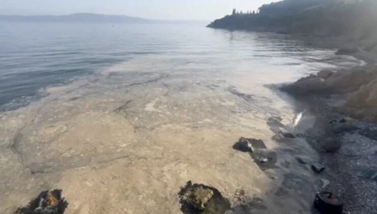 Müsilaj yine Gemlik Körfezi’nde