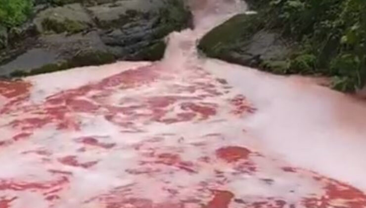 Rize’de rengi kırmızıya dönen derede inceleme başlatıldı