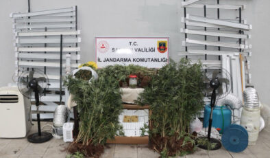 Samsun’da internette izlediği görüntülerle konutunu uyuşturucu serasına çevirdi