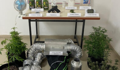 Samsun’da jandarmadan meskeninde uyuşturucu yetiştiren şahsa operasyon