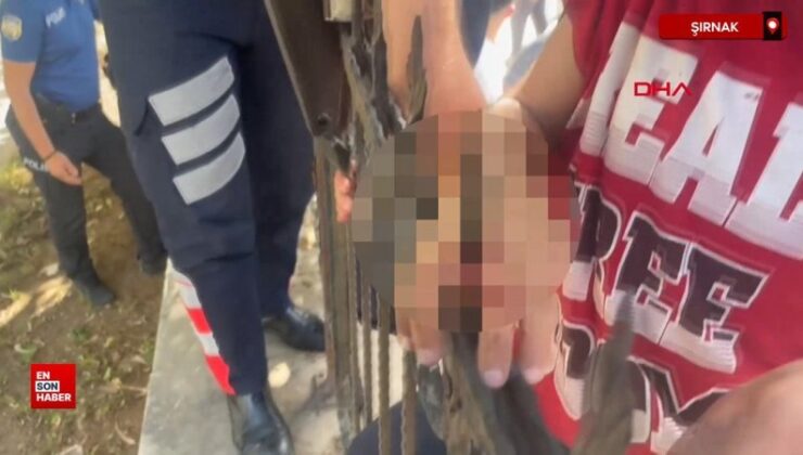 Şırnak’ta dut yemek isterken eli korkuluk demirine saplandı