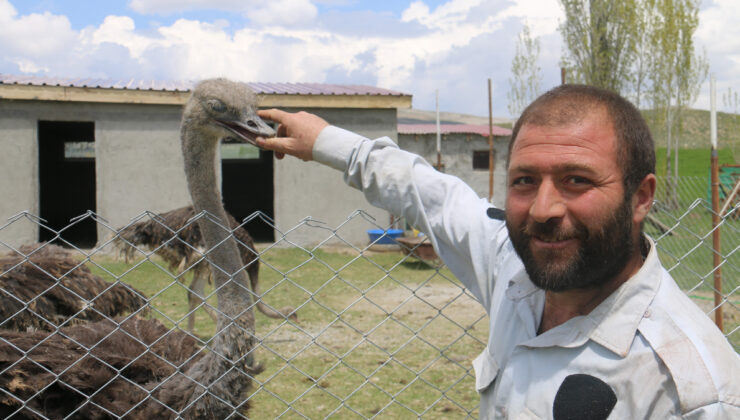 Sivaslı çiftçi babasının hayalini gerçekleştirdi