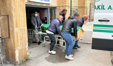 Sivas’ta kene can aldı