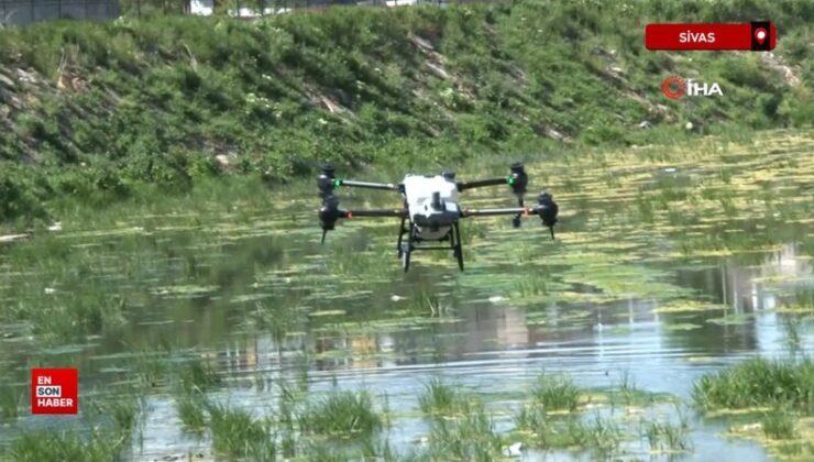Sivas’ta kene kabusuna dronlu tedbir