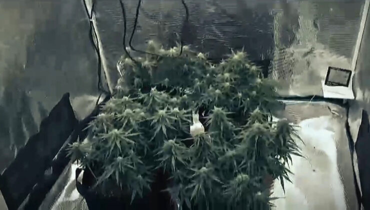 Tekirdağ’da gardırobu açtılar: Uyuşturucu serası çıktı