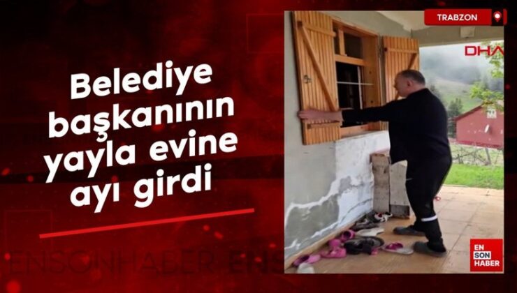 Trabzon’da belediye liderinin yayla meskenine ayı girdi