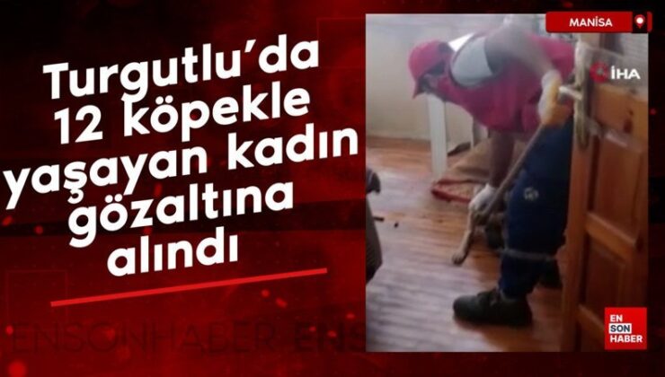 Turgutlu’da meskeninde 12 köpekle yaşayan bayan gözaltına alındı