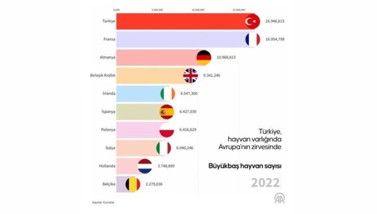 Türkiye hayvancılıkta Avrupa’da tekrar birinci sıraya yükseldi